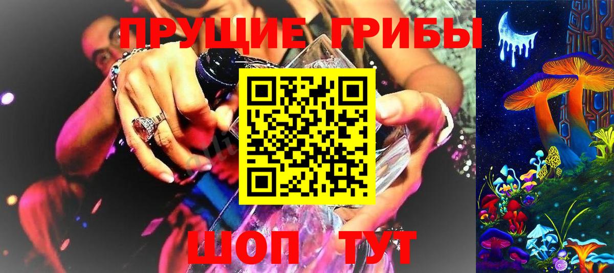 Псилоцибиновые грибы Psilocybine cubensis Йошкар-Ола