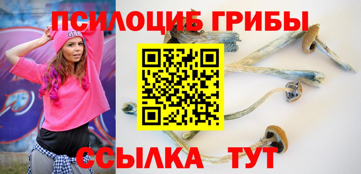 Йошкар-Ола  Галлюциногенные грибы мухоморы  Псилоцибиновые грибы ЛСД  Вход с VPN 